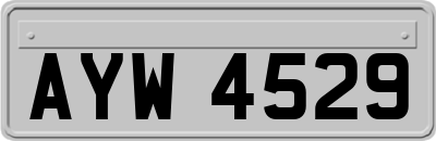 AYW4529