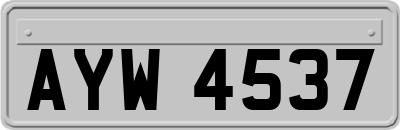 AYW4537