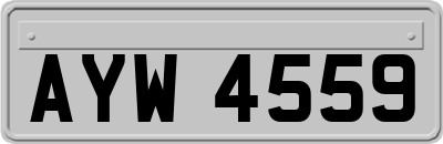 AYW4559
