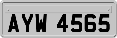 AYW4565