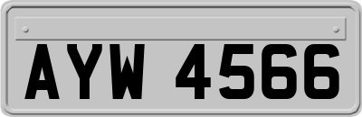 AYW4566