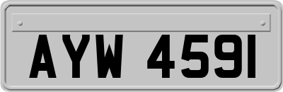 AYW4591