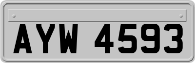 AYW4593