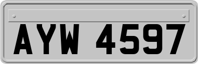AYW4597