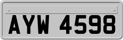 AYW4598
