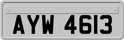 AYW4613