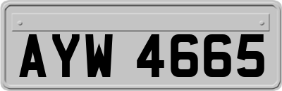 AYW4665