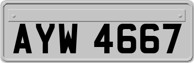 AYW4667