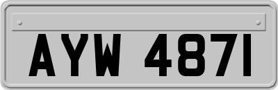 AYW4871