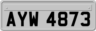 AYW4873