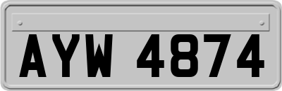 AYW4874