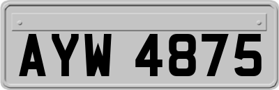 AYW4875