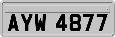 AYW4877