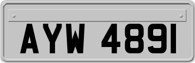 AYW4891