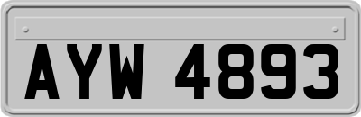 AYW4893