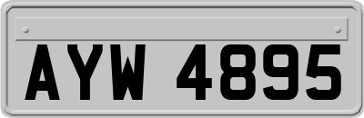 AYW4895