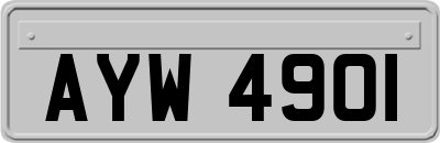 AYW4901