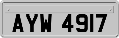 AYW4917