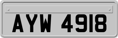 AYW4918