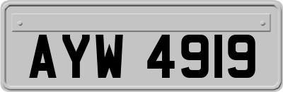 AYW4919