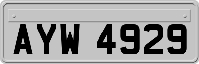 AYW4929