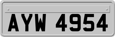 AYW4954