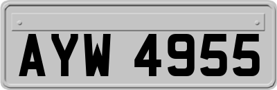 AYW4955