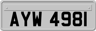 AYW4981