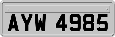 AYW4985