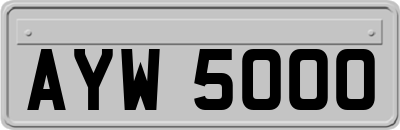AYW5000