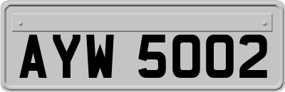 AYW5002