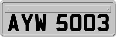 AYW5003