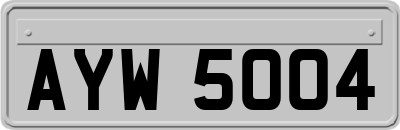 AYW5004