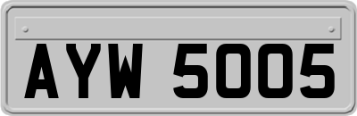 AYW5005