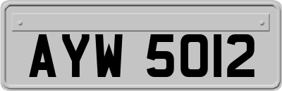 AYW5012