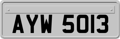 AYW5013