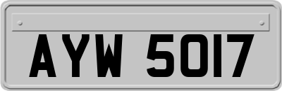 AYW5017