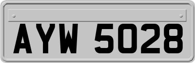 AYW5028