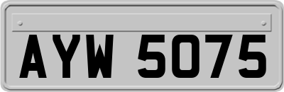 AYW5075