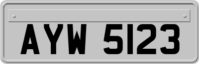 AYW5123