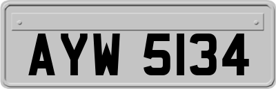 AYW5134