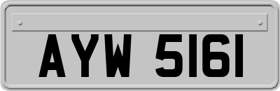 AYW5161