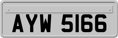 AYW5166