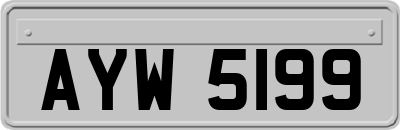 AYW5199