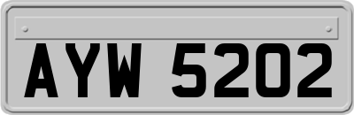 AYW5202