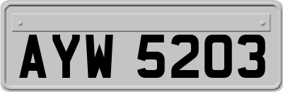 AYW5203