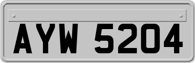 AYW5204