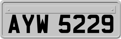 AYW5229