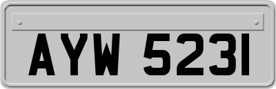 AYW5231