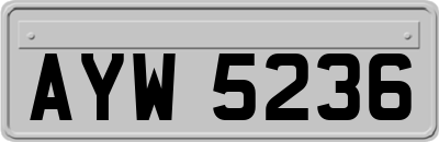 AYW5236